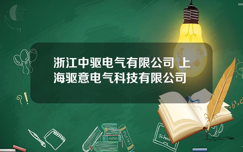 浙江中驱电气有限公司 上海驱意电气科技有限公司